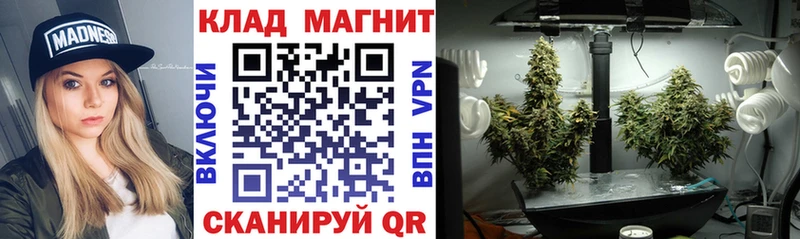 Магазин наркотиков Нижний Тагил MEGA ссылка  Кокаин  МЕФ  Канабис  Гашиш 