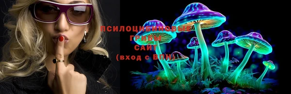 ешки Пестово