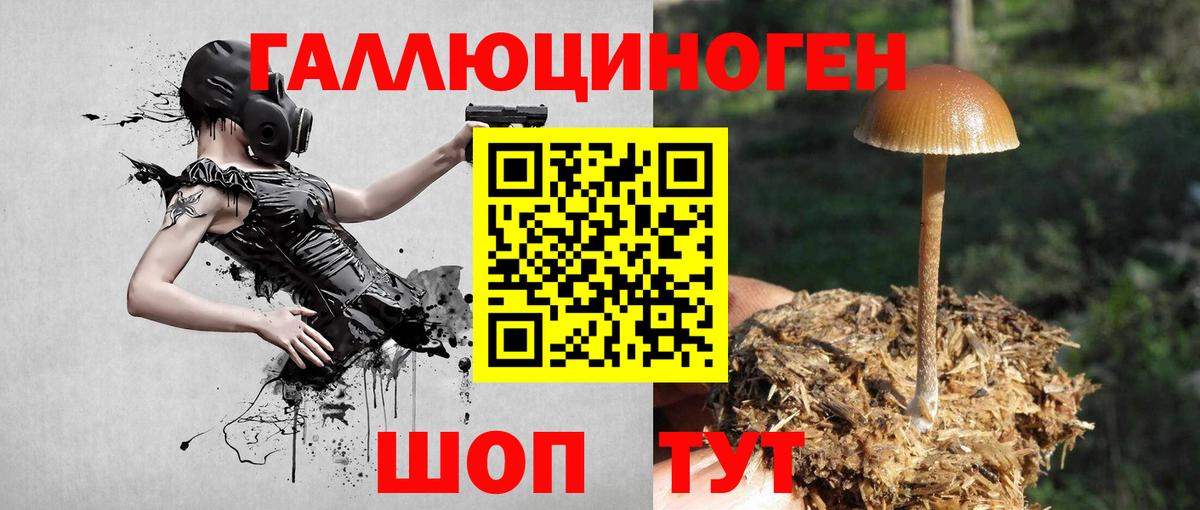 Галлюциногенные грибы Cubensis  Вход с VPN  Нижний Тагил 